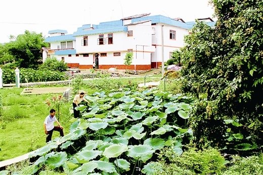 太阳集团tyc:范县河务局防洪预案修订紧锣密鼓(图1) 太阳成官网