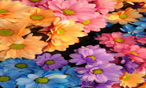 太阳集团tyc-
前瞻 | 看球不熬夜!今晚23:15巴萨迎战贝蒂斯(图1) 太阳集团tyc