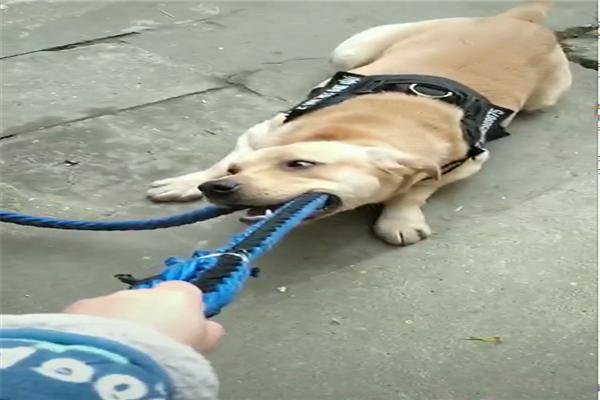 太阳集团tyc_微软亲儿子!新Windows细节:极致体验(图4) 太阳成官网